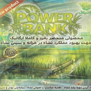پاور بانک